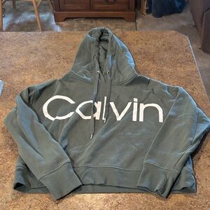 Calvin Klein Sage Green Hoodie